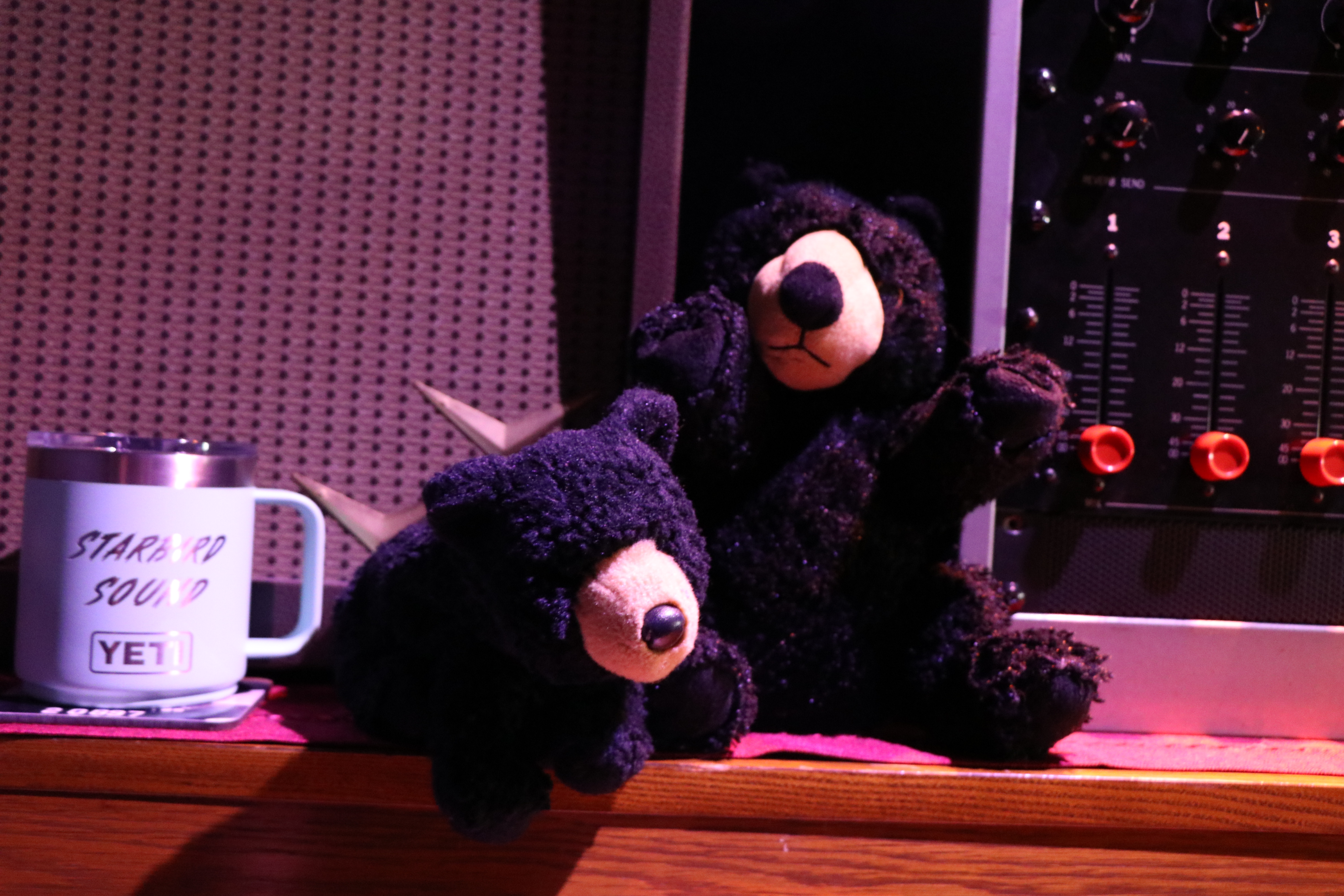 Studio bears at Starbird Sound