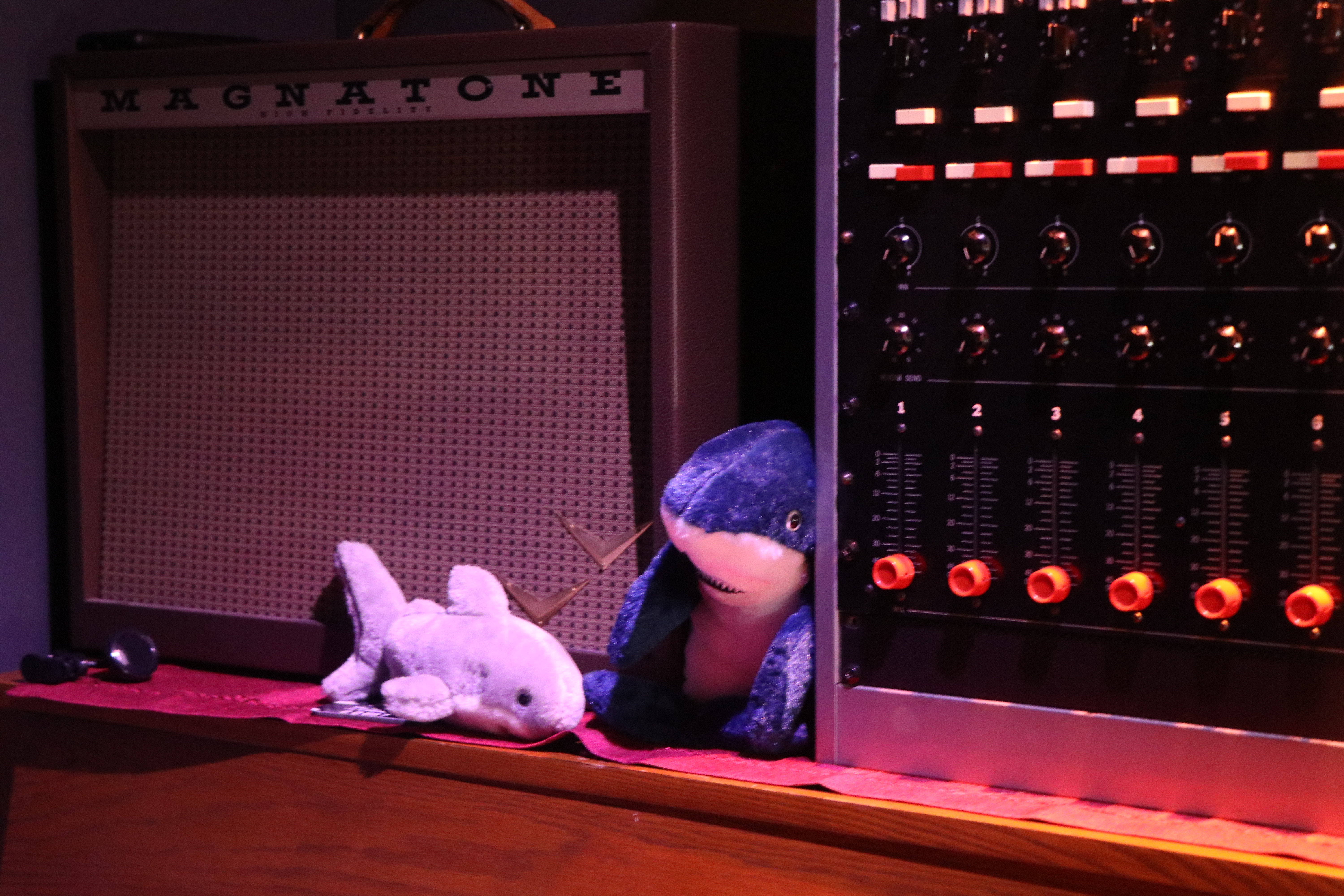 Studio sharks